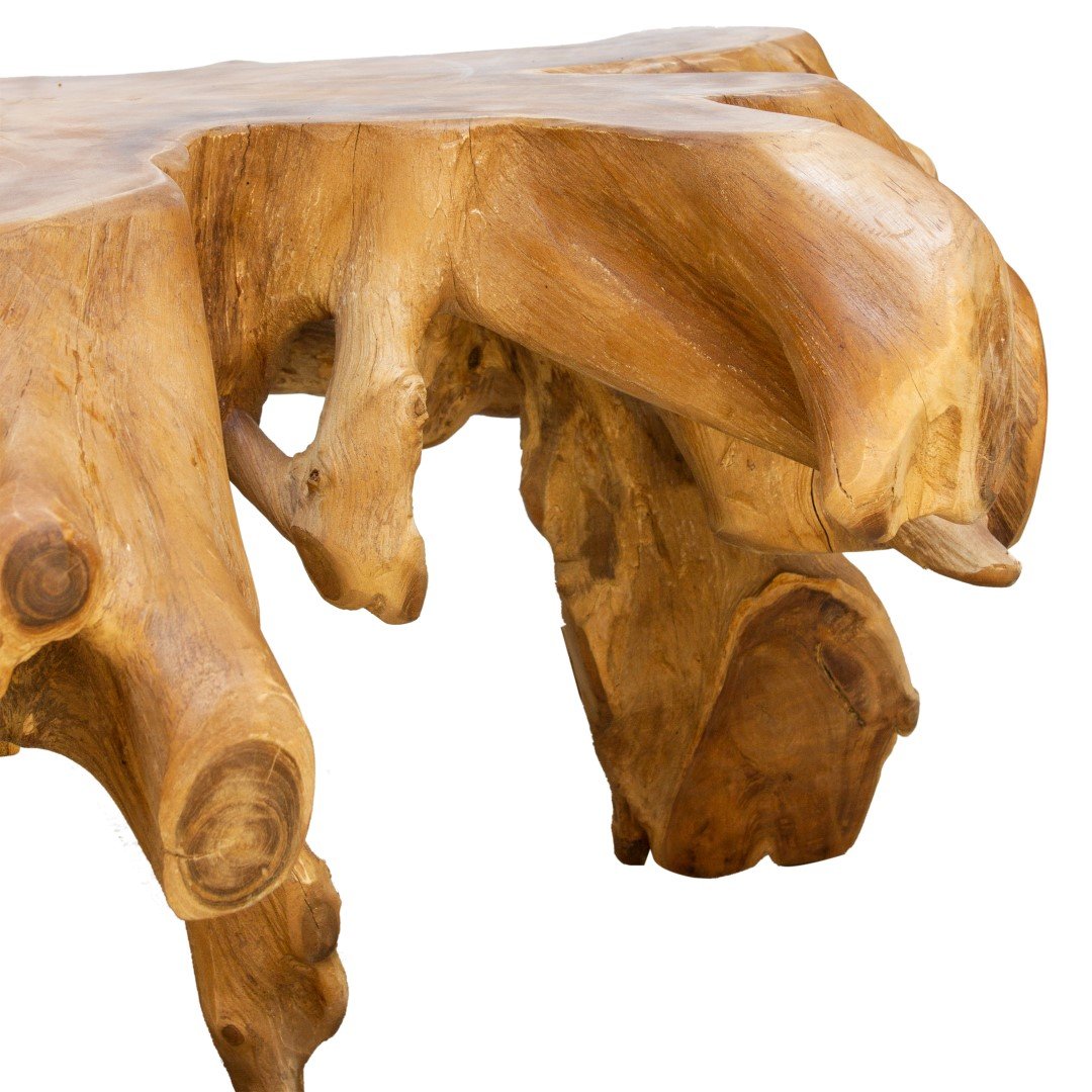 Natural Teak Root Coffee Table | Eyres Furniture