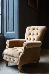 Westminster Armchair in Butterscotch Velvet