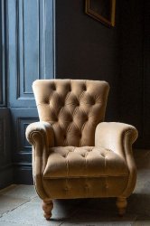 Westminster Armchair in Butterscotch Velvet