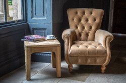 Westminster Armchair in Butterscotch Velvet