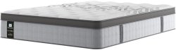 Sealy Picket Mattress